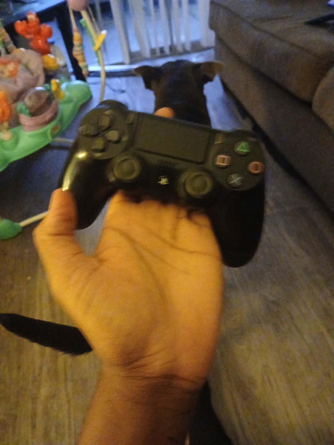 Used Not Damaged Black And Dark Blue