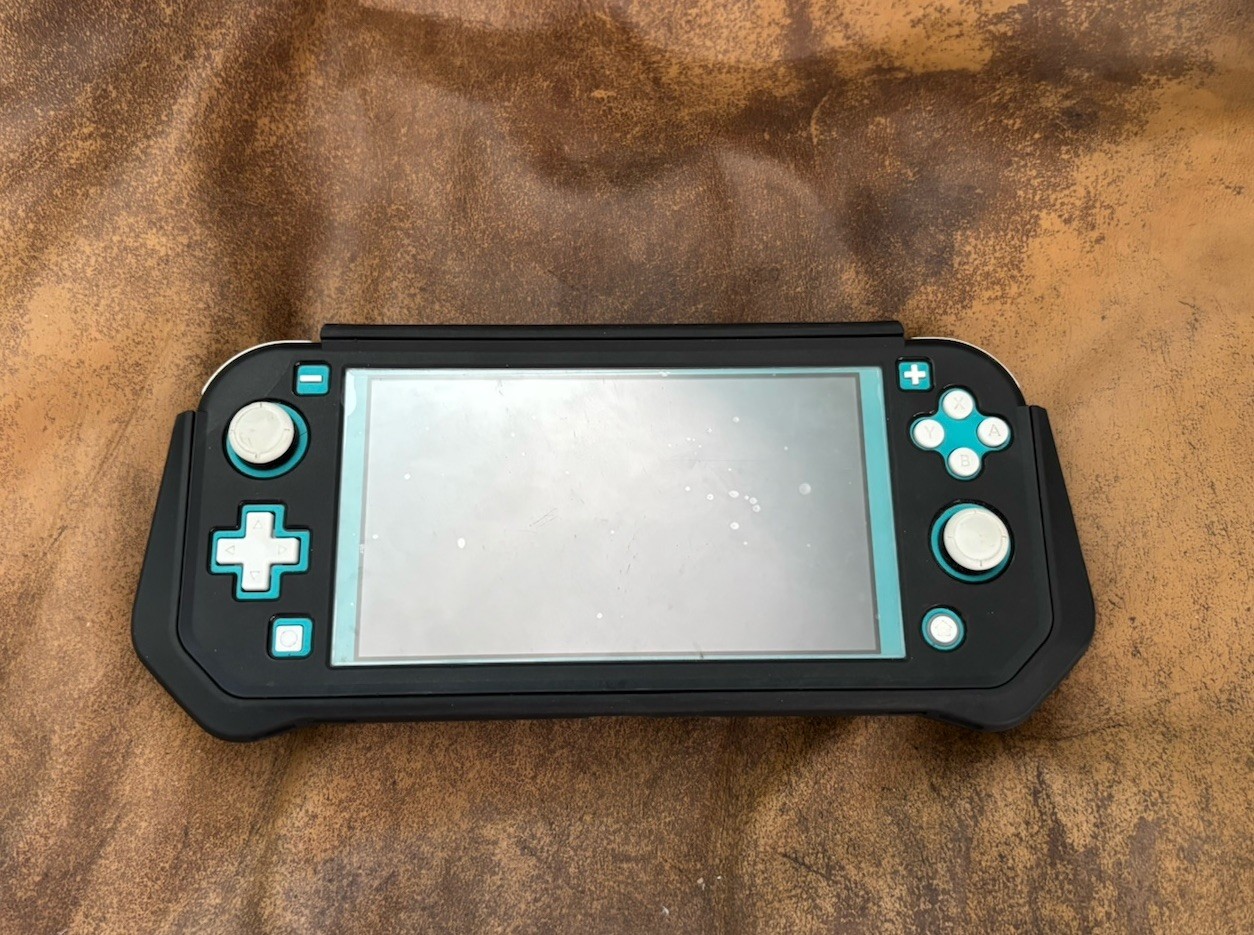 Nintendo Switch Lite Teal Case