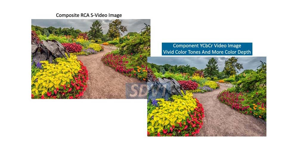 Composite S-Video to Component YUV RGB RGsB Sync On Green Converter