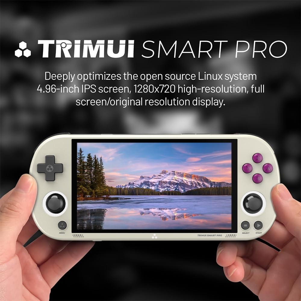 HANHIBR Trimui Smart Pro Handheld 4.96 IPS Gray 64GB