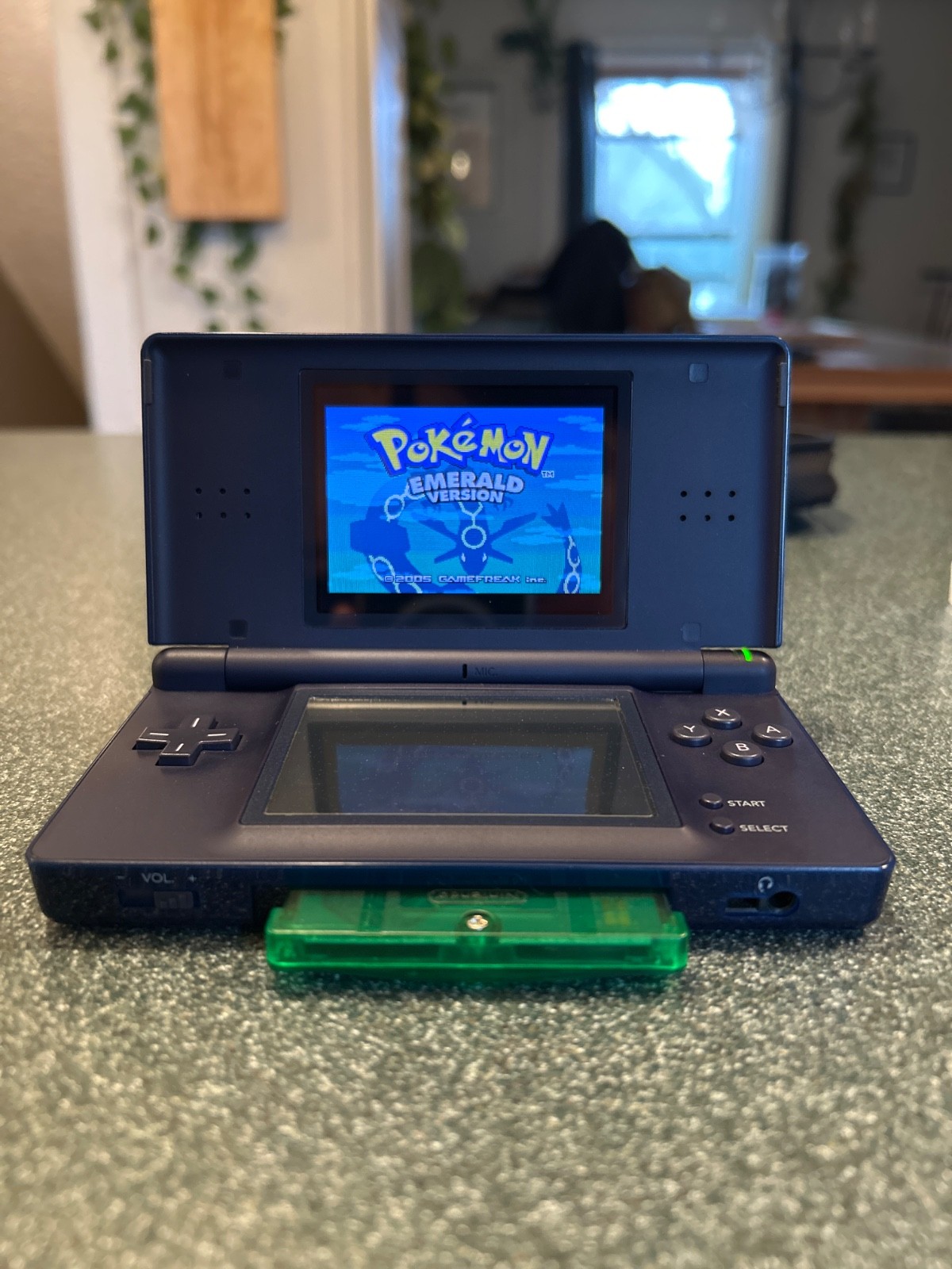 DS Lite includes charger, stylus, and case but game not included