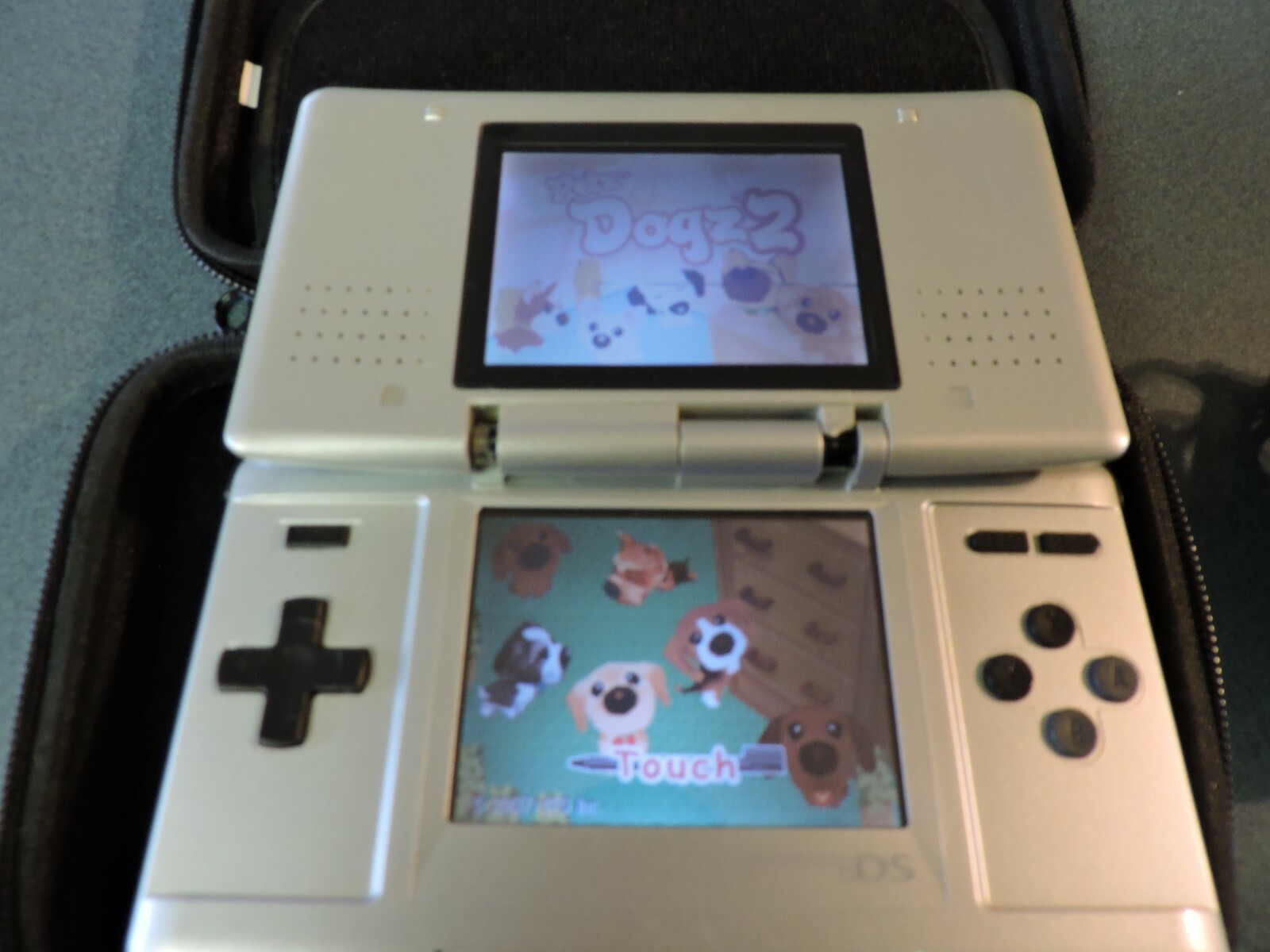Nintendo DS Titanium Color with Case & Charger Working Condition