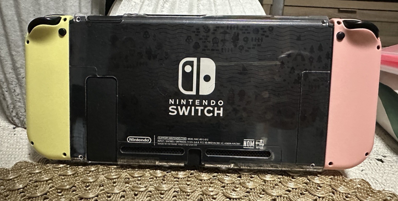Nintendo Switch Animal Crossing Edition Console Dock AC Adapter Joy-Con 256GB