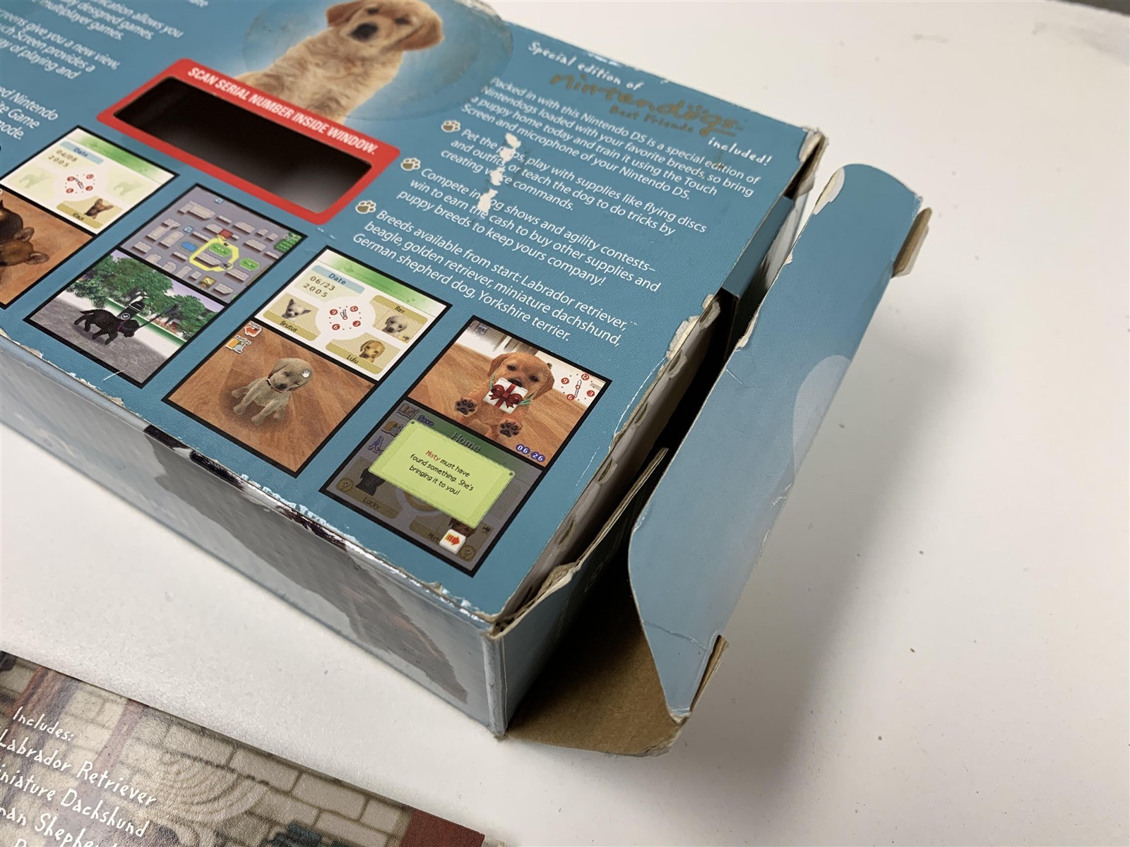 Nintendo DS Teal Nintendogs Boxed Console Broken Hinge Tested Works