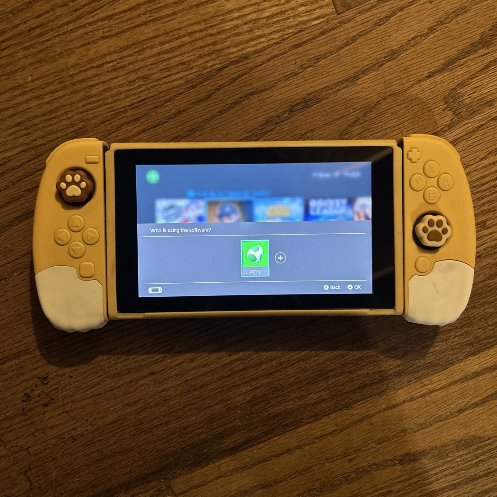 Nintendo Switch Console Charger Included Case Included