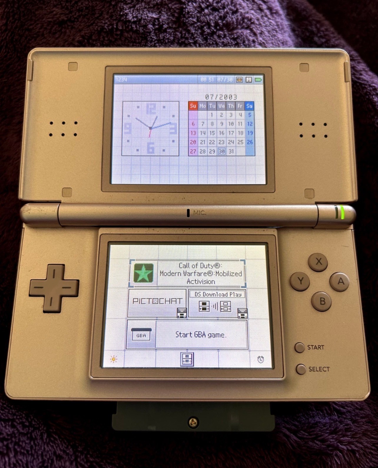 Nintendo DS Lite Nintendogs Edition Metallic Rose Console RARE w/ Charger Stylus