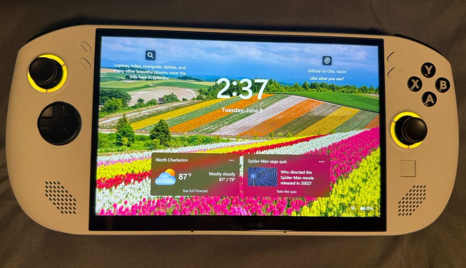 Lenovo Legion Go Handheld System 512GB 2560×1600 Wi-Fi USB-C w/65W Charger
