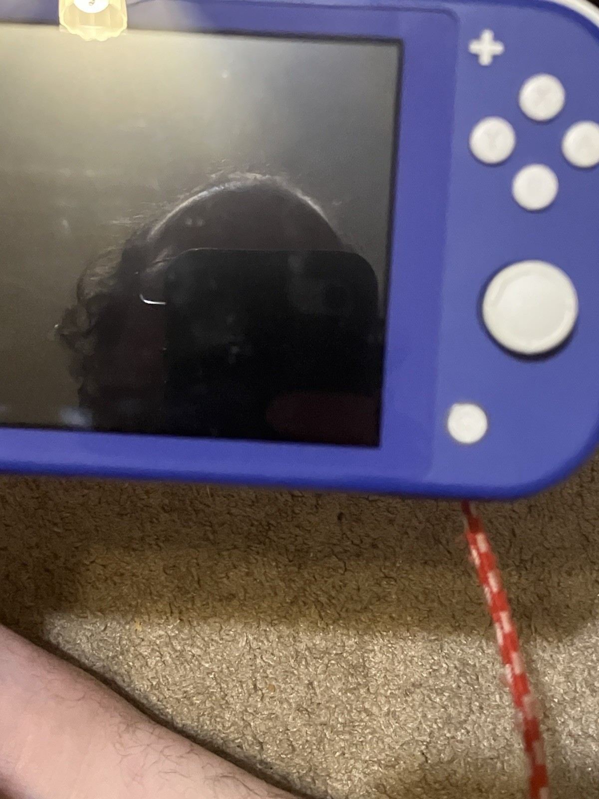 Authentic & Tested Blue Nintendo Switch Lite Console & Charger, Works, Read