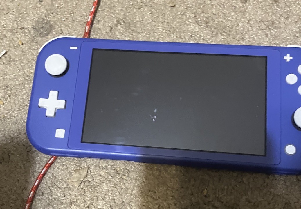 Authentic & Tested Blue Nintendo Switch Lite Console & Charger, Works, Read