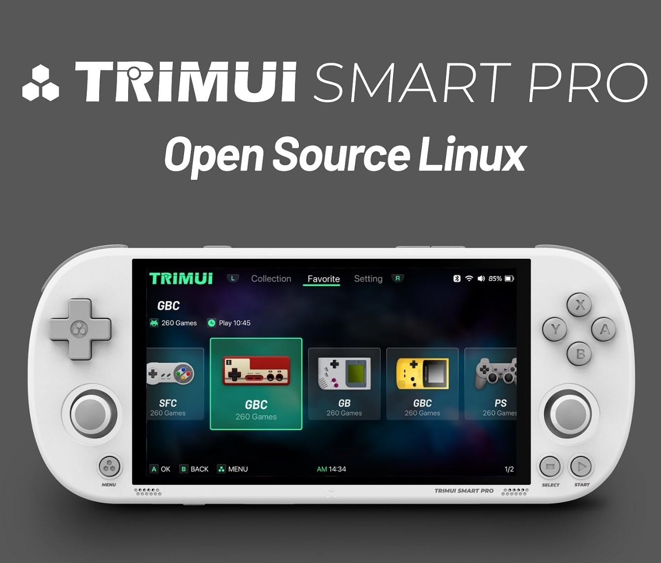TRIMUI SMART PRO