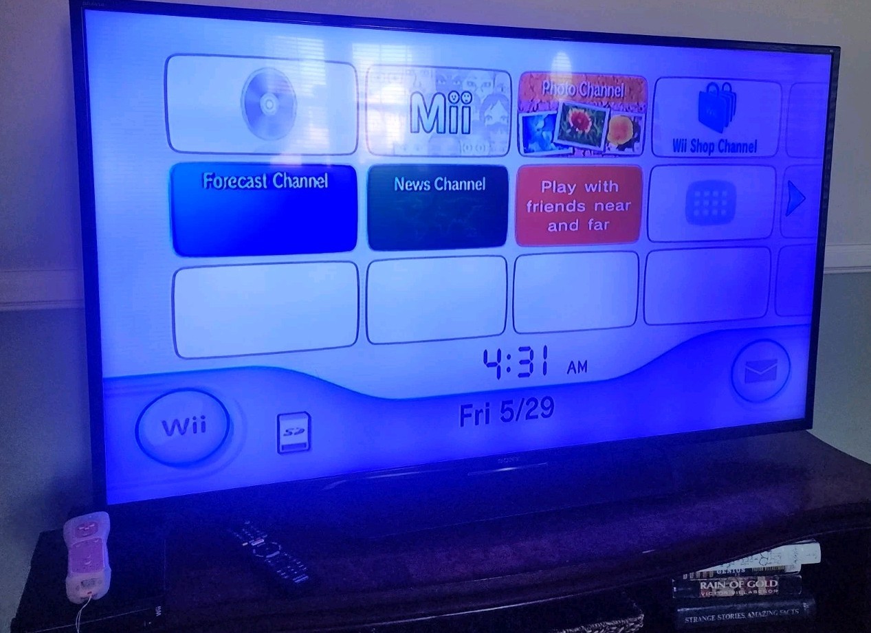 Black Nintendo Wii RVL-001 Motion Plus Console 2 Controllers Cables Mount Works!