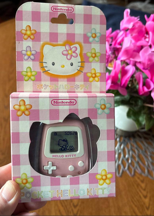 Nintendo Pocket HELLO KITTY Sanrio Game Console Pedometer MPG-001(KT) Super Rare
