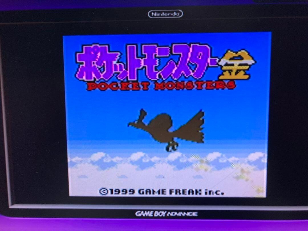 Nintendo GameBoy Player For Nintendo Gamecube console & Game Boy Startup Disk SV