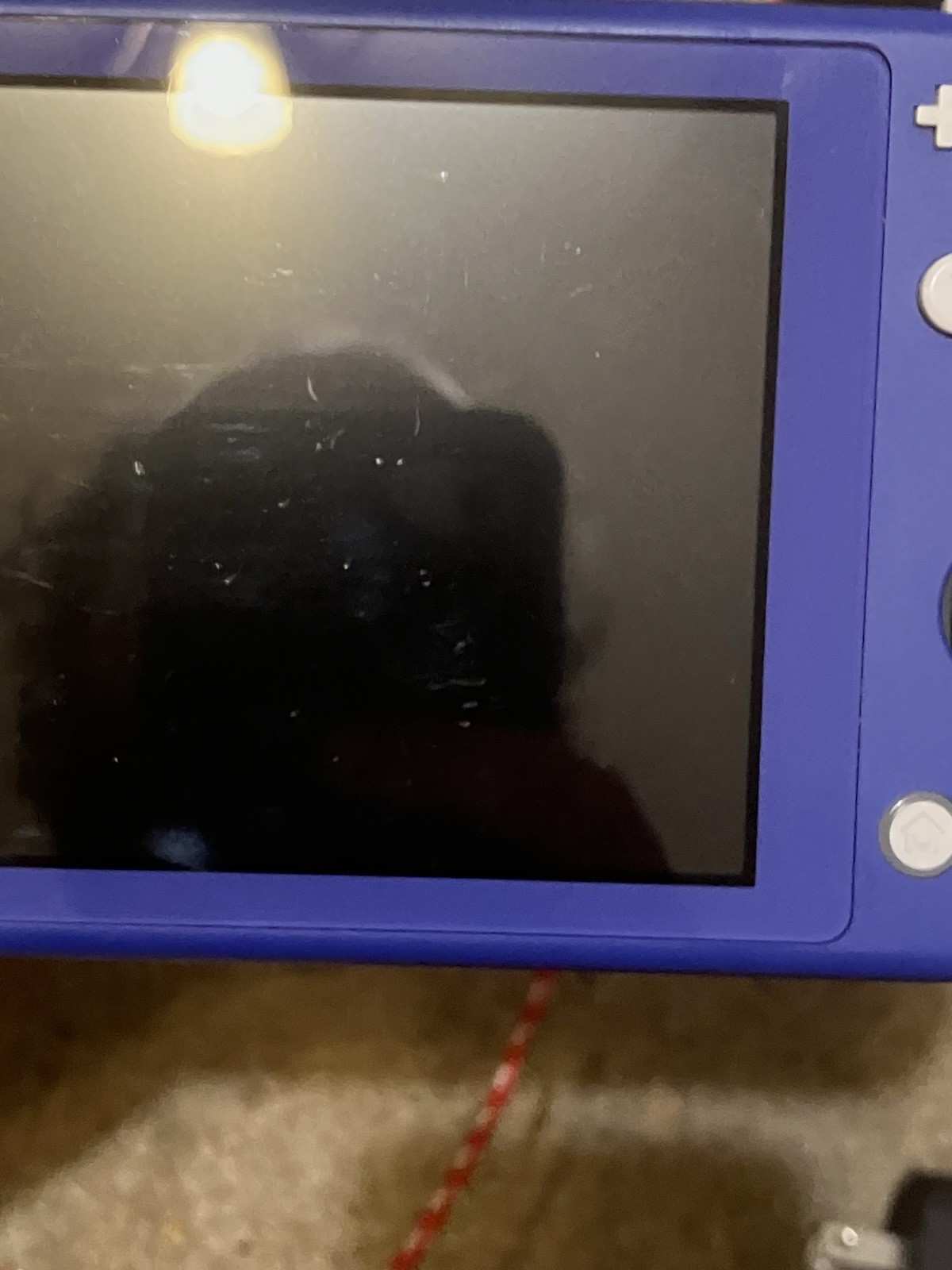 Authentic & Tested Blue Nintendo Switch Lite Console & Charger, Works, Read