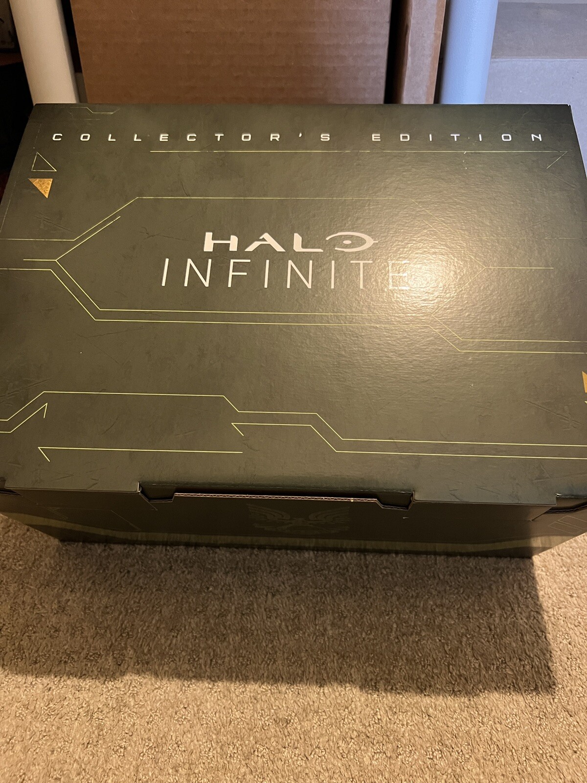 Halo Infinite Collector’s Edition No game System