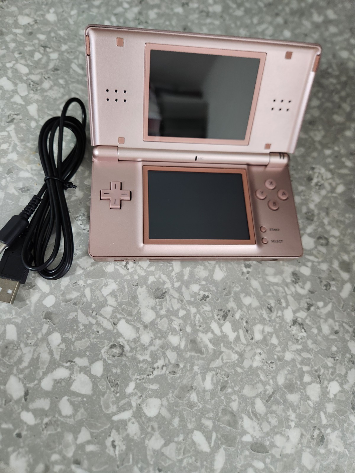 Nintendo DS Lite – Metallic Rose Nintendogs Edition 1