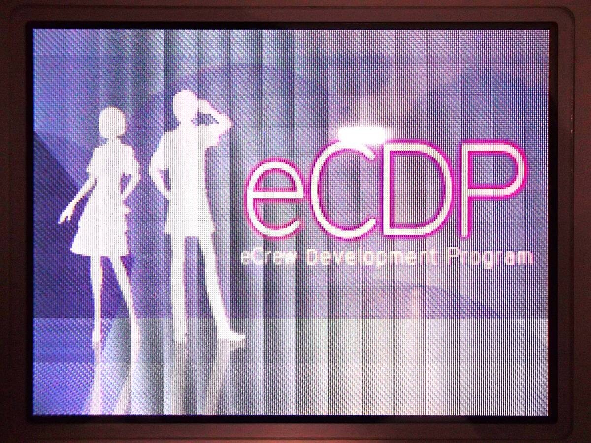 McDonald’s eCDP Nintendo DS Training Software *BOXED – GREAT CONDITION* Sale