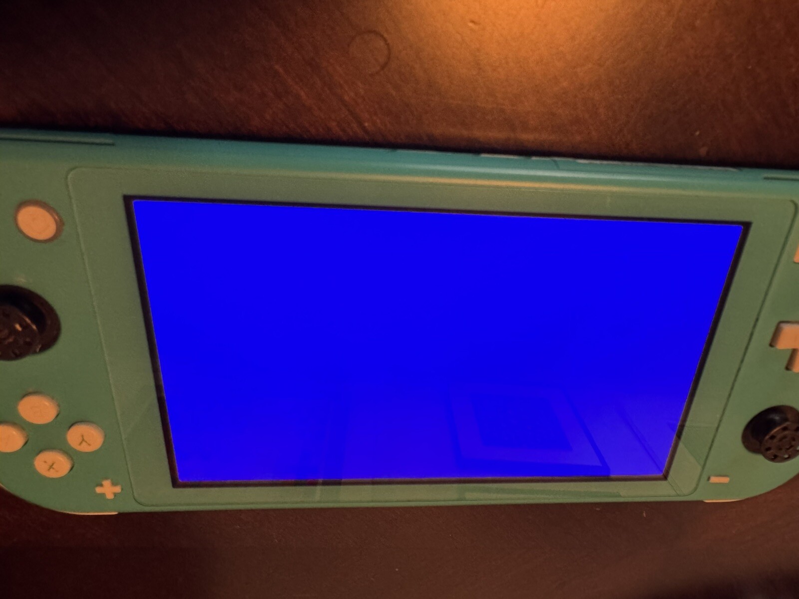 Nintendo Switch Lite Turquoise Console (HDH001) Parts As Is Blue Screen