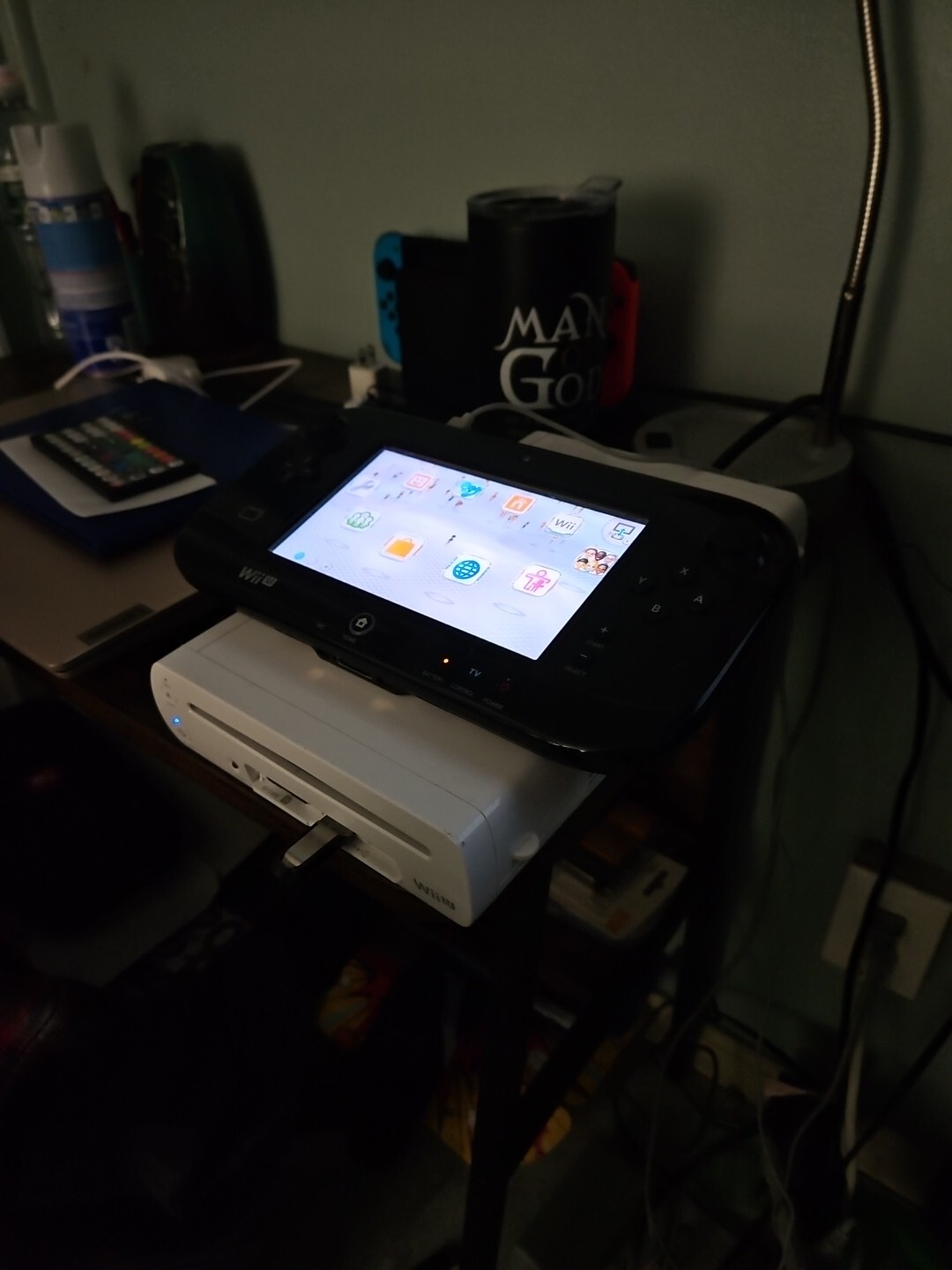 Nintendo Wii U 8GB Handheld System – White