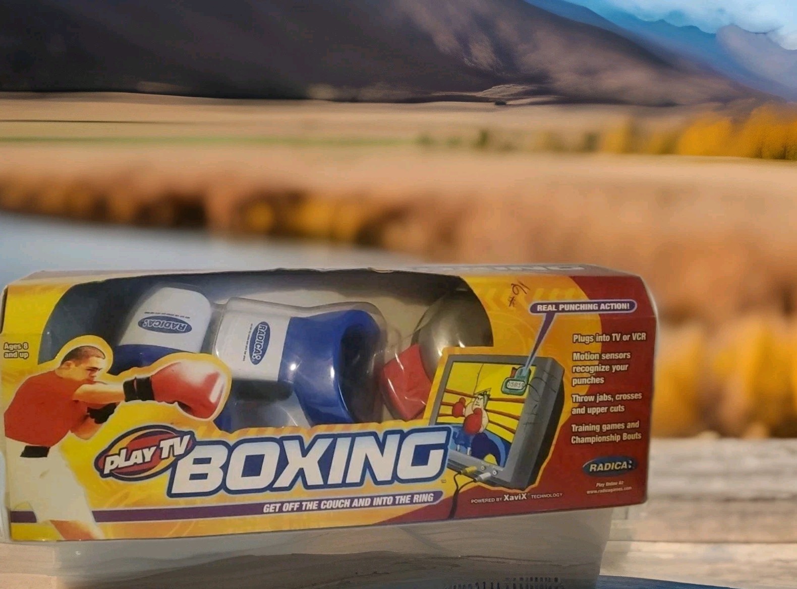 Play TV Boxing – Get Off the Couch and Into the Ring (2002) by Radica