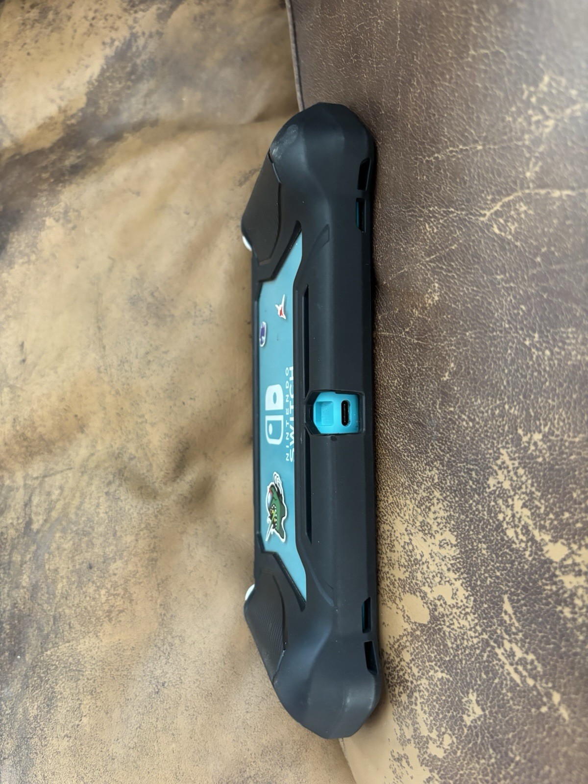 Nintendo Switch Lite Teal Case